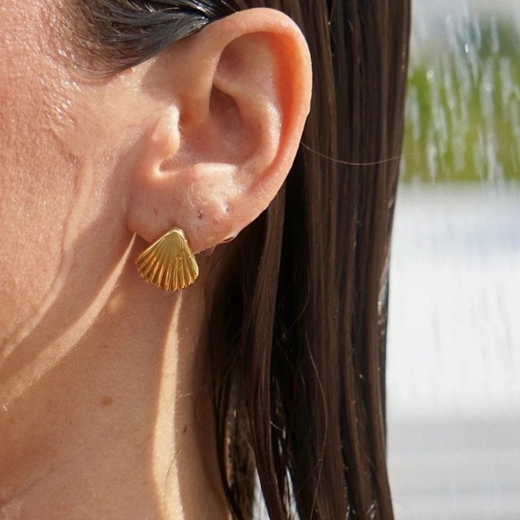 Jewelry - 18k Gold Plated *Shell Stud* Earrings